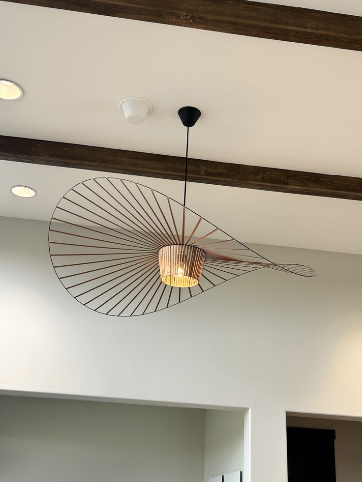 Vertigo Ceiling Light